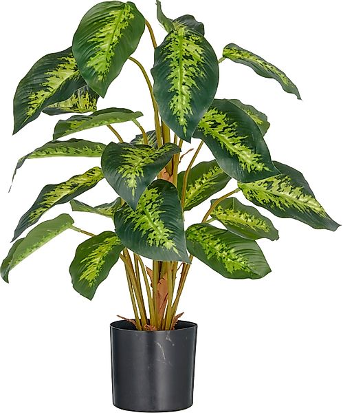 Kunstpflanze Dieffenbachia reeva, Creativ green, Höhe günstig online kaufen
