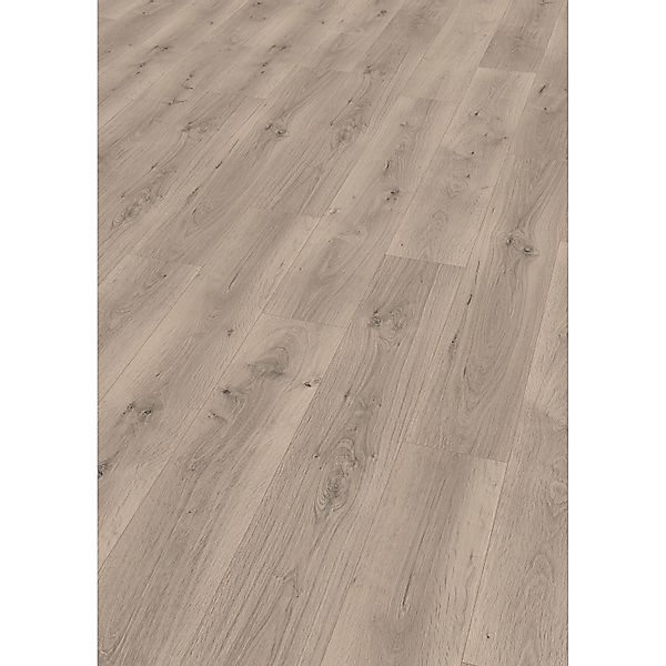 Egger Aqua-Laminatboden EL2112 NatureSense Pinot Eiche Hellgrau günstig online kaufen