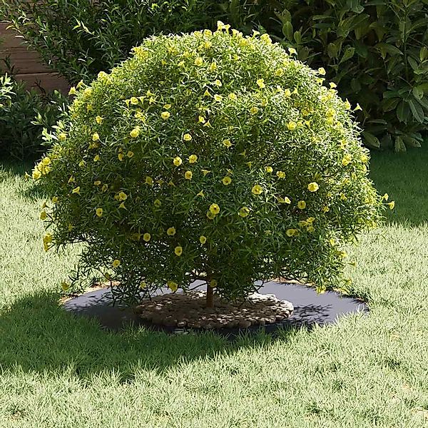 vidaXL Blumentopf Flacher Baumring Anthrazit Ø30 günstig online kaufen