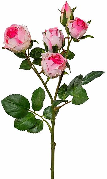 Kunstblume, Creativ green, Höhe 39 cm, 4er Set günstig online kaufen