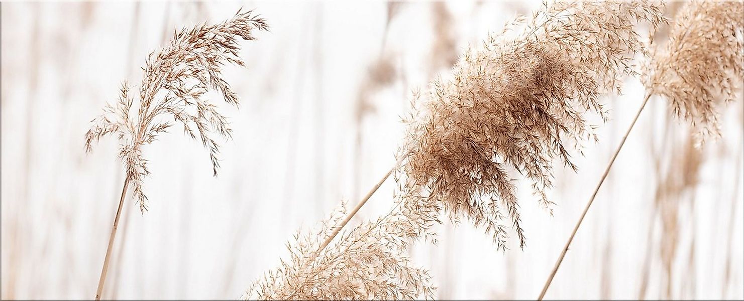 artissimo Glasbild XXL Bild aus Glas 125x50 cm / Panorama Wandbild groß / W günstig online kaufen