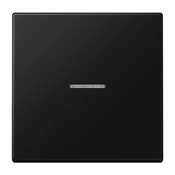 Jung Wippe mit Lichtleiter 1-fach Lackiert Graphitschwarz Matt günstig online kaufen