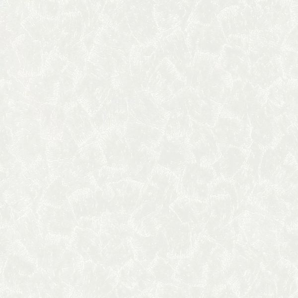 Bricoflor Papiertapete in Weiß Einfarbige Tapete mit Vinyl Struktur Effekt günstig online kaufen
