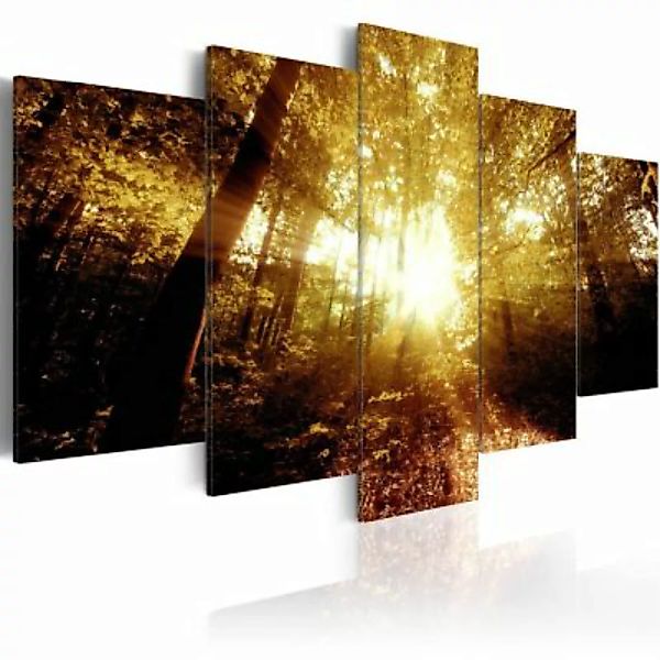artgeist Wandbild Autumn Forest braun-kombi Gr. 200 x 100 günstig online kaufen