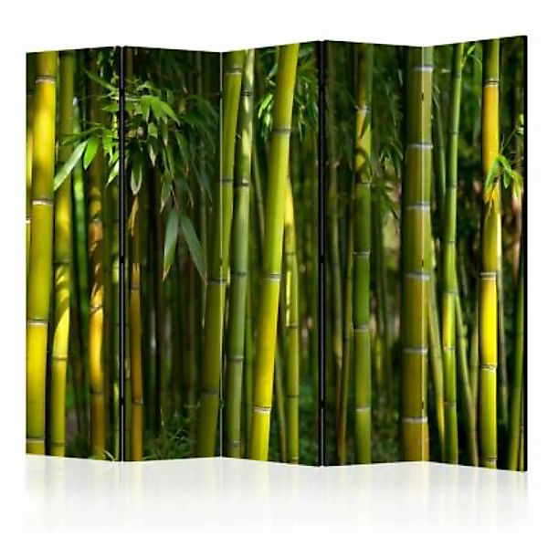artgeist Paravent Oriental Garden II [Room Dividers] grün Gr. 225 x 172 günstig online kaufen