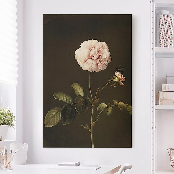 Leinwandbild - Hochformat Barbara Regina Dietzsch - Essig-Rose mit Hummel günstig online kaufen