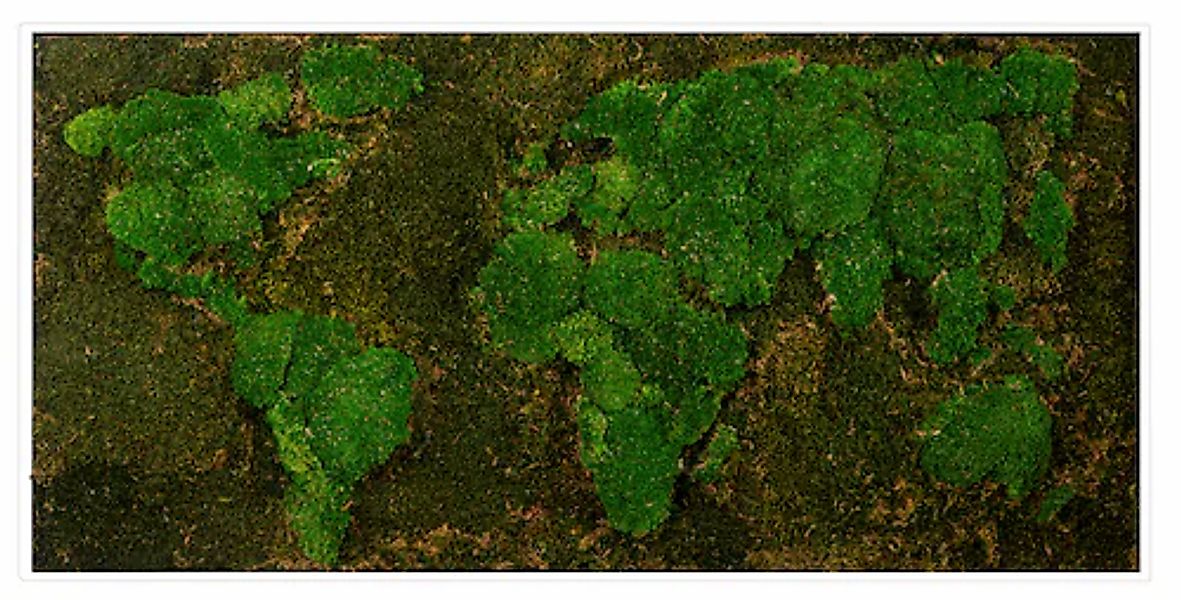 Bönninghoff Bild mit Rahmen »Moos« Weltkarte 1 Stk. tlg. jedes Bild ein Uni günstig online kaufen