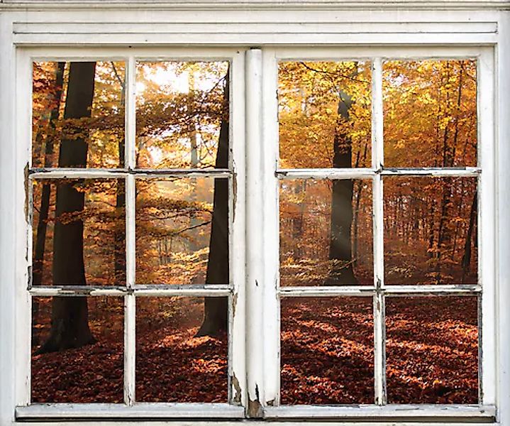 queence Wandsticker »Wald« Wandsticker, Wandbild, selbstklebend, 3D, Fenste günstig online kaufen