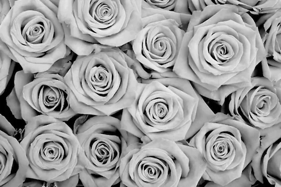 Papermoon Fototapete »Blumen Schwarz & Weiß« günstig online kaufen