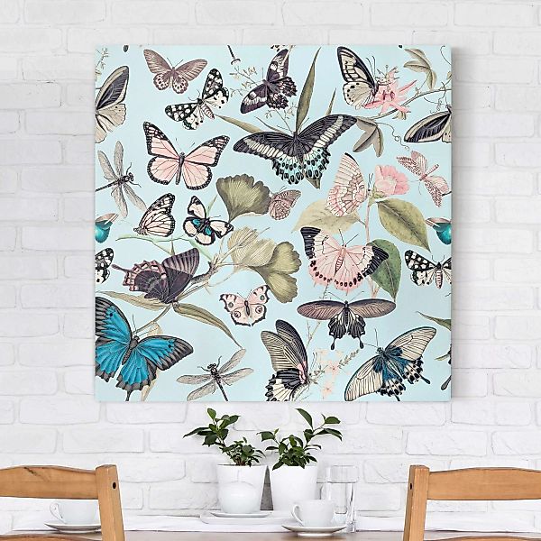 Leinwandbild Vintage Collage - Schmetterlinge und Libellen günstig online kaufen