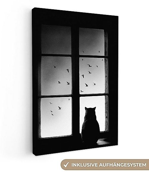 OneMillionCanvasses® Leinwandbild Katze - Tiere - Schwarz und weiß - Fenste günstig online kaufen