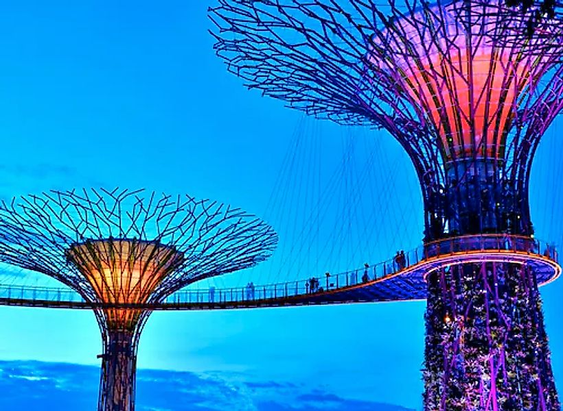 Papermoon Fototapete »Singapore Bay Supertrees« glatt günstig online kaufen