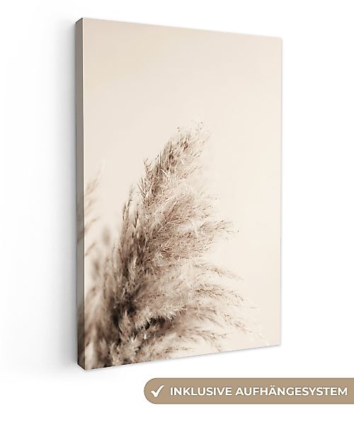 OneMillionCanvasses® Leinwandbild Pflanzen - Pampaswedel - günstig online kaufen