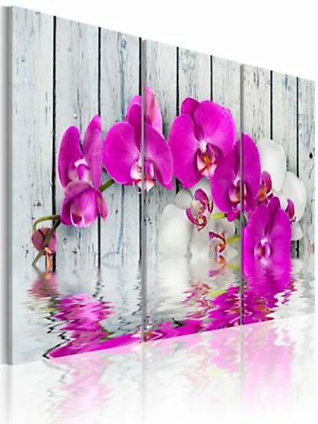artgeist Wandbild Harmonie: Orchidee - Triptychon mehrfarbig Gr. 60 x 40 günstig online kaufen