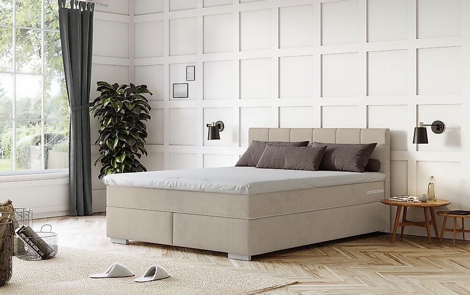 COTTA Boxspringbett "Simba" Topseller wahlweise mit oder ohne Matratze und günstig online kaufen
