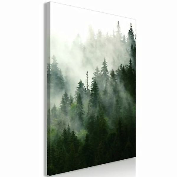 artgeist Wandbild Coniferous Forest (1 Part) Vertical grau/grün Gr. 40 x 60 günstig online kaufen