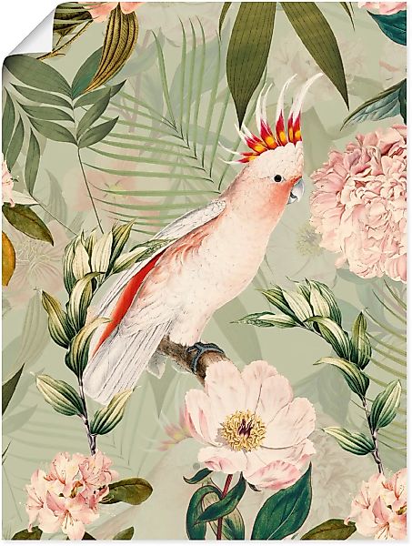 Artland Wandbild "Vintage Papagei", Vogelbilder, (1 St.) günstig online kaufen