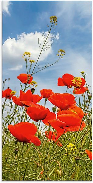 Artland Wandbild "Mohnblumen im Panorama", Blumenbilder, (1 St.), als Alubi günstig online kaufen