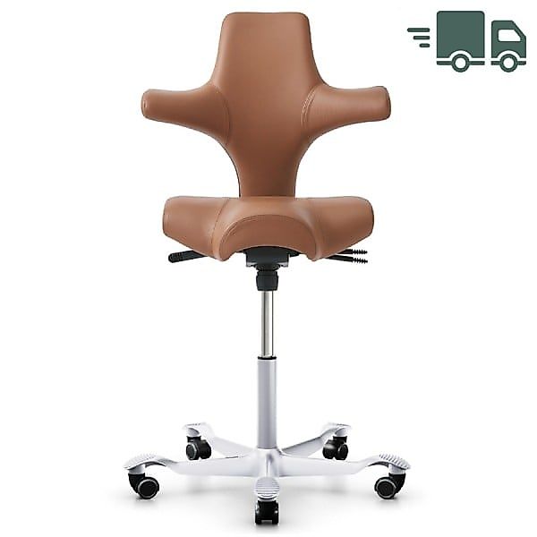 HAG CAPISCO 8106 | Stehhilfe | Leder Paloma Sonderfarbe natur | Gestell sil günstig online kaufen