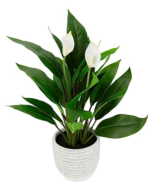 Kunstpflanze Spathiphyllum, I.GE.A., Höhe 48 cm, günstig online kaufen