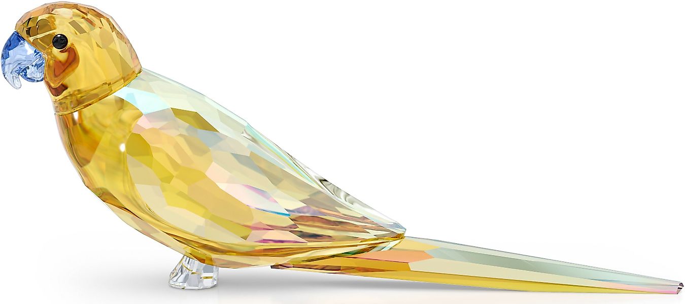 Swarovski Dekofigur Kristallfigur Vogel Jungle Beats günstig online kaufen