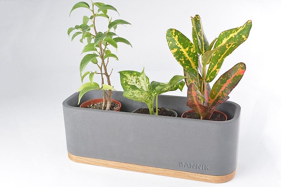 Bannik Blumentopf aus Beton und Holz günstig online kaufen