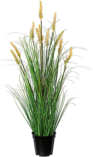 Kunstgras Grasbusch Pennisetum Gras, Creativ green, günstig online kaufen