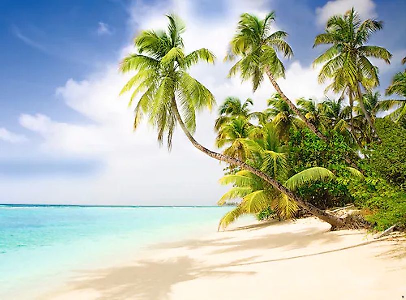 Papermoon Fototapete »Beach in the South Seas« glatt günstig online kaufen