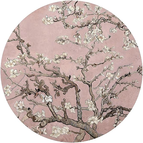 Erfurt Fototapete Vlies Almond Blossom Van Gogh Rosé Ø 188 cm günstig online kaufen