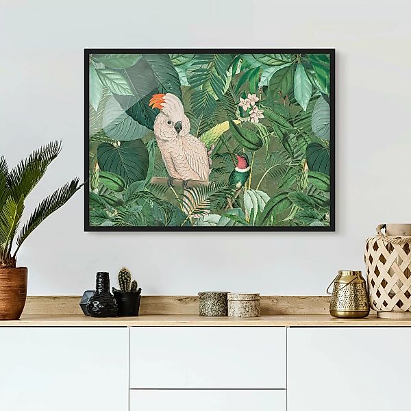 Bild mit Rahmen Tiere - Querformat Vintage Collage - Kakadu und Kolibri günstig online kaufen