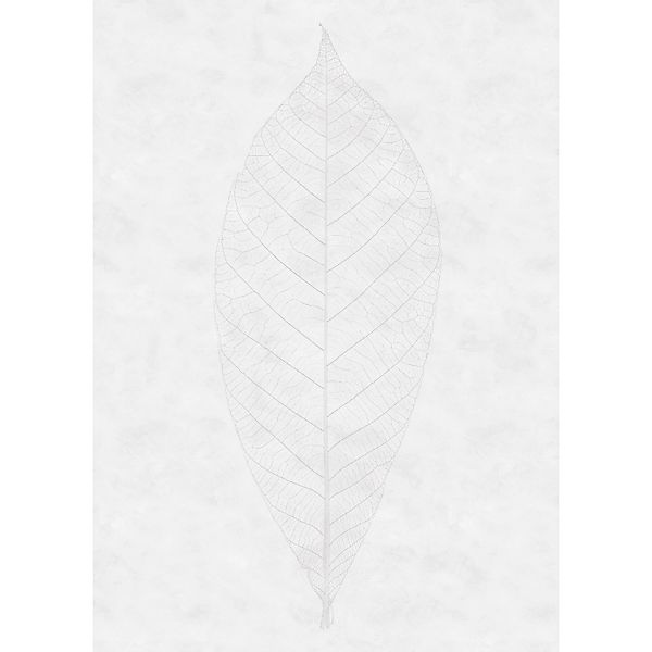 Komar Fototapete Vlies Decent Leaf  200 x 280 cm günstig online kaufen