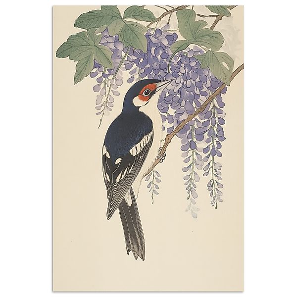 MuchoWow Poster Specht - Blumen - günstig online kaufen