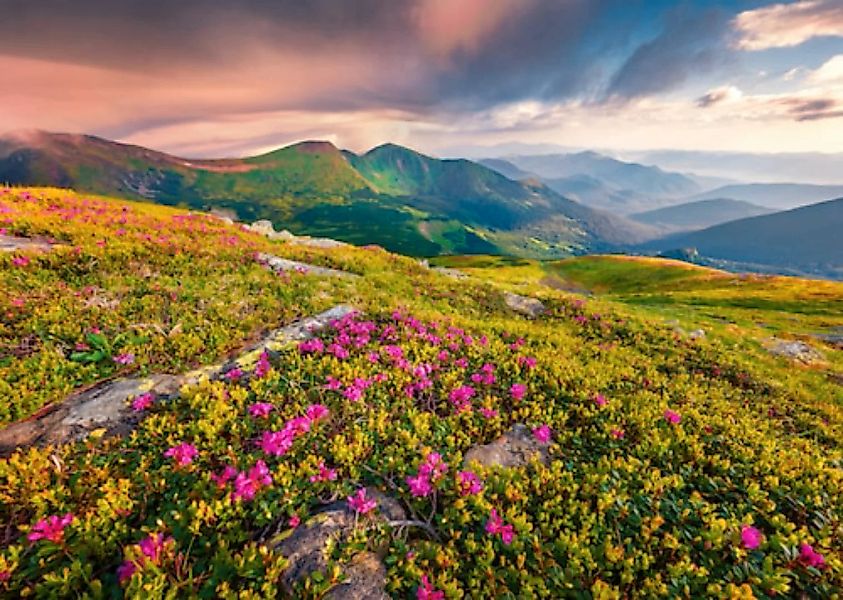 Papermoon Fototapete »BLUMEN-NATUR LANDSCHAFT BERGE GEBIRGE ALPEN LAVENDEL« günstig online kaufen