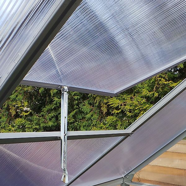 Plantiflex Gewächshaus mit Fundament, BxTxH: 250 günstig online kaufen