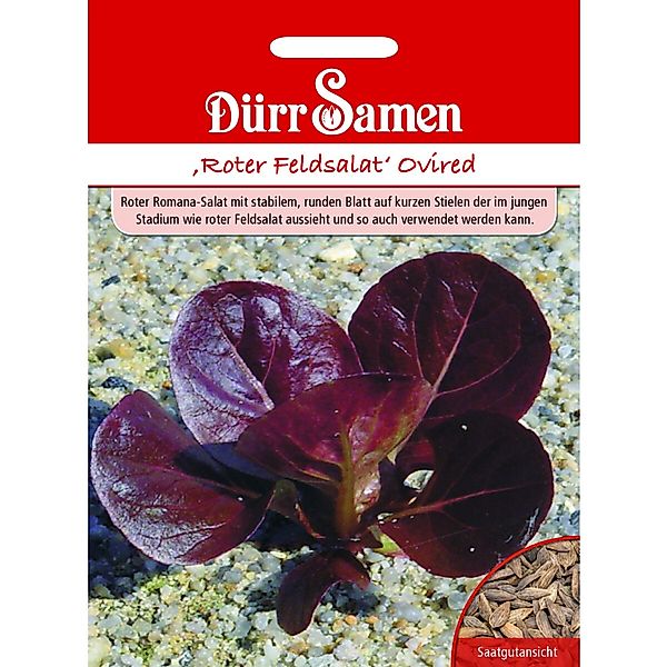 Dürr Samen Roter Feldsalat Ovired Saatgut günstig online kaufen