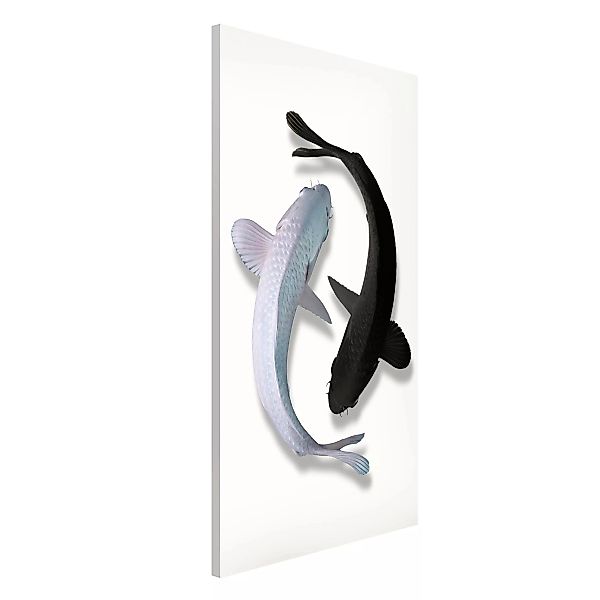 Magnettafel Tiere - Hochformat 3:4 Fische Ying & Yang günstig online kaufen