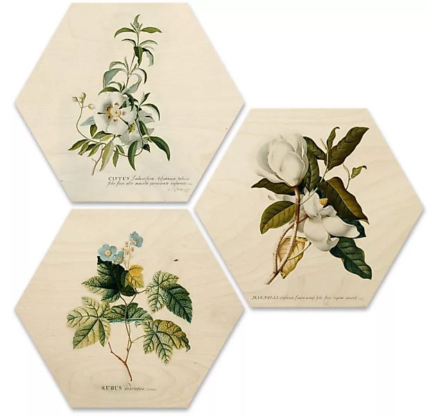 Wall-Art Mehrteilige Bilder "Botanische Collage Blumen Floral", Tiere, (Set günstig online kaufen