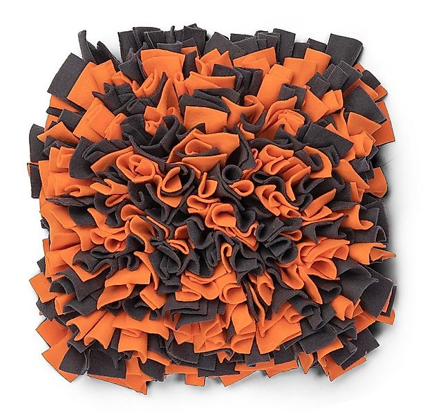 TrendPet Schnüffelteppich, in 2 Farben erhältlich günstig online kaufen