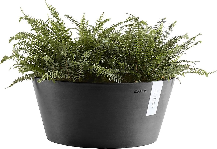 ECOPOTS Blumentopf "FRANKFURT Dark Grey", BxTxH: 50x50x25 cm günstig online kaufen