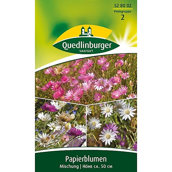 Quedlinburger Papierblume ''Mischung'' günstig online kaufen