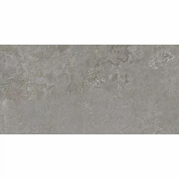 Bodenfliese Feinsteinzeug Grau 60 cm x 120 cm günstig online kaufen