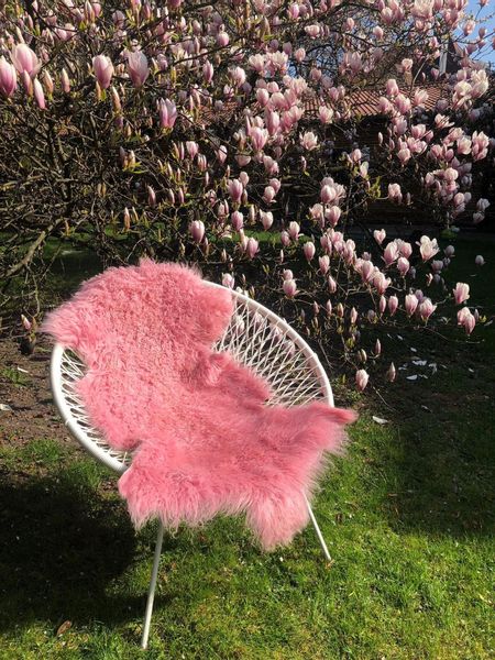 Hollert Fellteppich Tibet gelocktes Lammfell Schaffell, günstig online kaufen