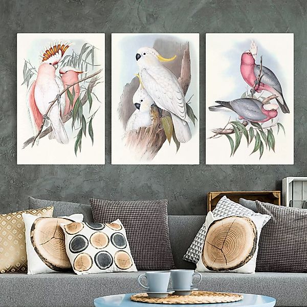 3-teiliges Leinwandbild Tiere - Hochformat Pastell Papageien Set I günstig online kaufen