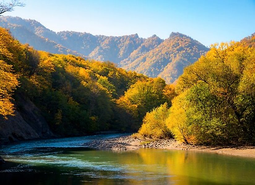 Papermoon Fototapete »Autumn Mountain Forest River« günstig online kaufen