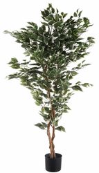 Kunstpflanze Ficus Benjamini Ficus Benjamini, Creativ günstig online kaufen