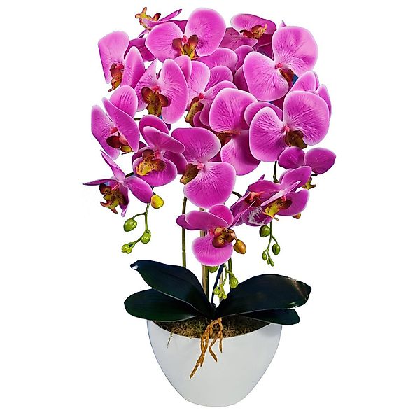 Kunstblume Orchidee, damich, Höhe 60 cm, günstig online kaufen