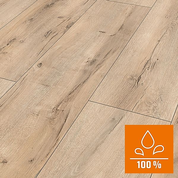 Classen Laminat 8 mm Wasserfest Oak Beige günstig online kaufen