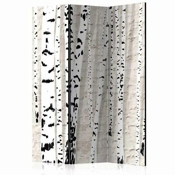 artgeist Paravent Birchen Grove [Room Dividers] mehrfarbig Gr. 135 x 172 günstig online kaufen