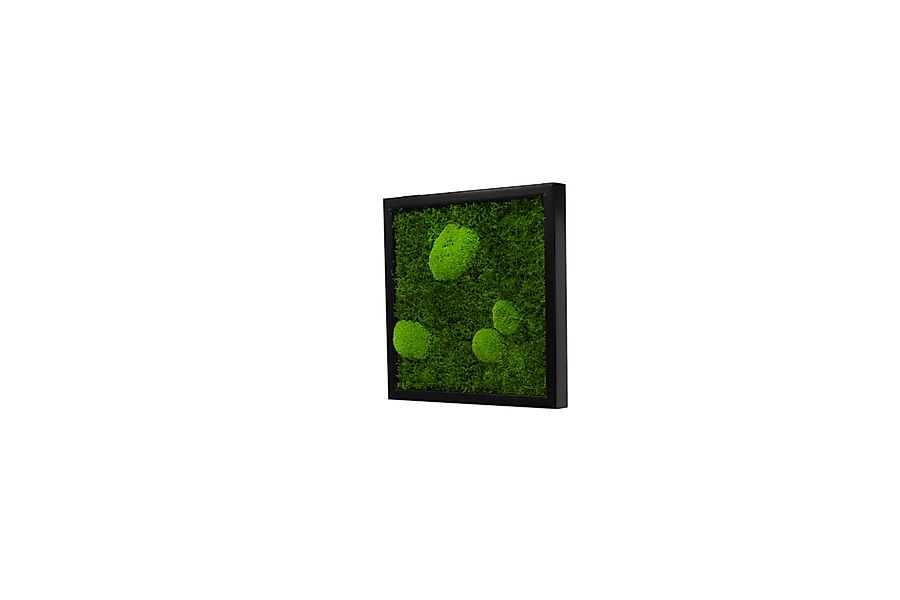 Moos-Design Bilderrahmen Moos Bild Forest Design günstig online kaufen