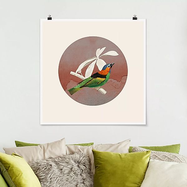 Poster Vogel Collage im Kreis II günstig online kaufen